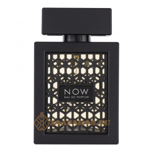 (plu00012) - Eau de Parfum Now, Rave, Men - 100ml