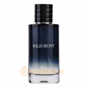 wild-hunt-1.jpg